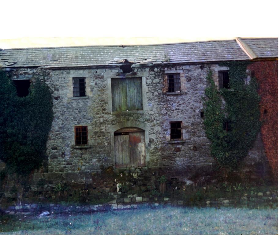Fort House Bed & Breakfast Kilbeggan Eksteriør billede